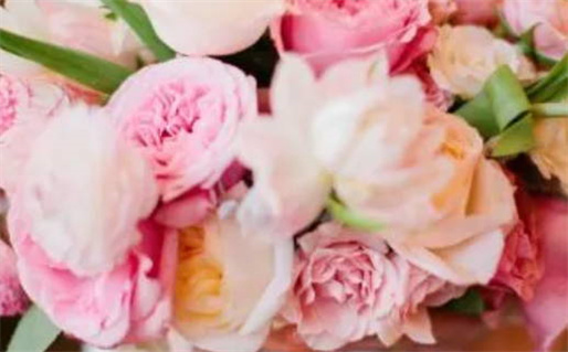 1971辛亥年出生的命运