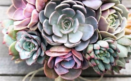 今日打牌财运方位揭秘助你赢牌致富秘诀