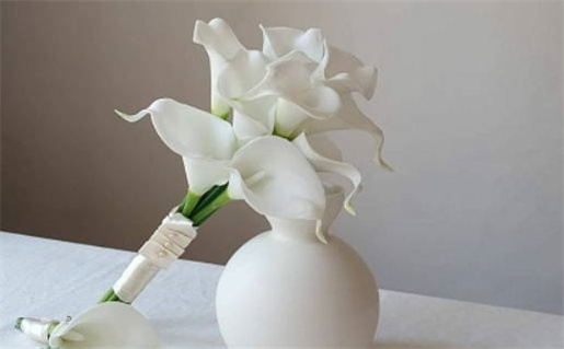 农历7月24(农历7月24日是什么星座?)