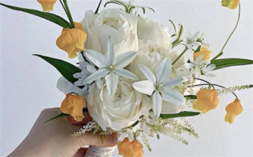 优雅与智慧并存的段姓女孩名字推荐