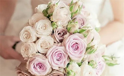 2007年农历(2007年农历是什么年)