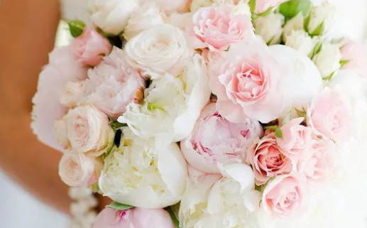 黎姓女孩名字推荐精选美丽寓意大全