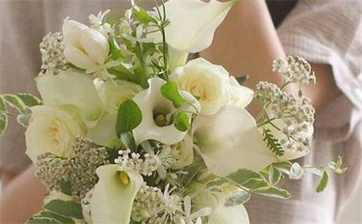 公司取名终极指南