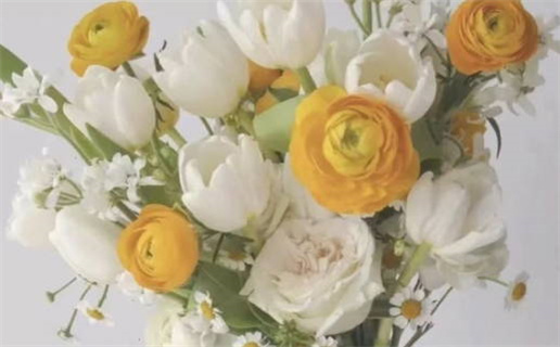 洪姓女孩名字_洪姓女孩名字高端