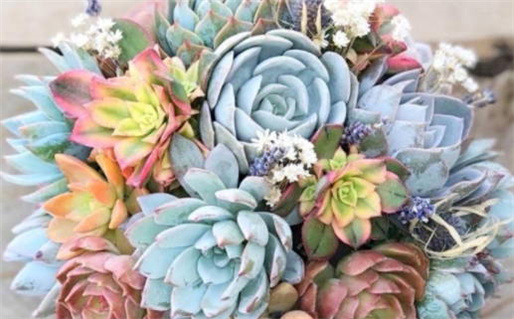 服装店取名_服装店取名简单大气